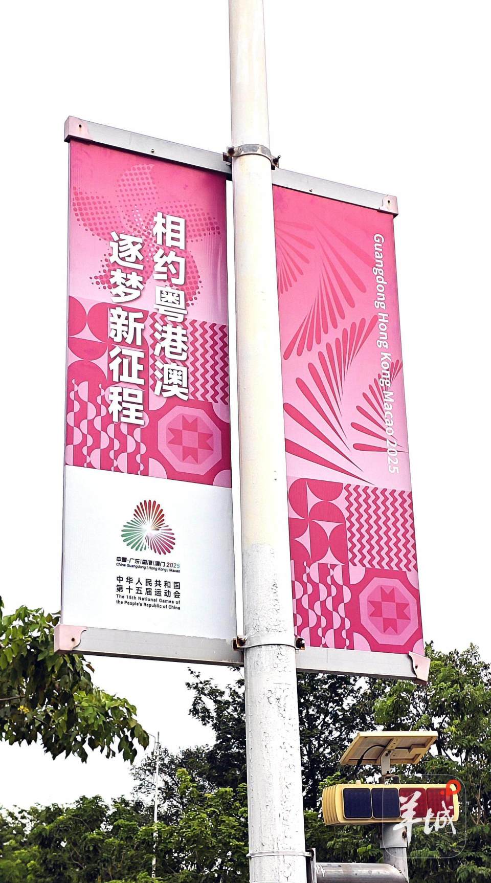 在展现体育