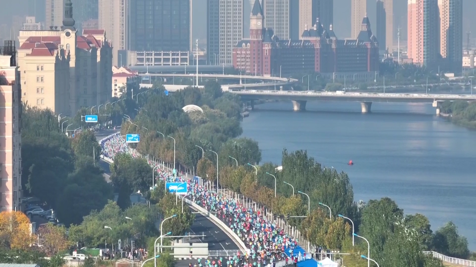 参赛运动员 参赛运动员